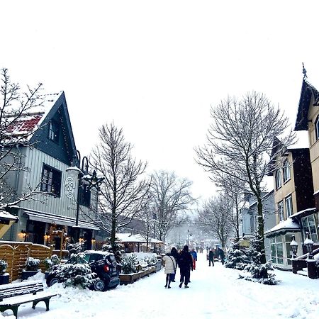 Harz Is Calling กอสลาร์ ภายนอก รูปภาพ