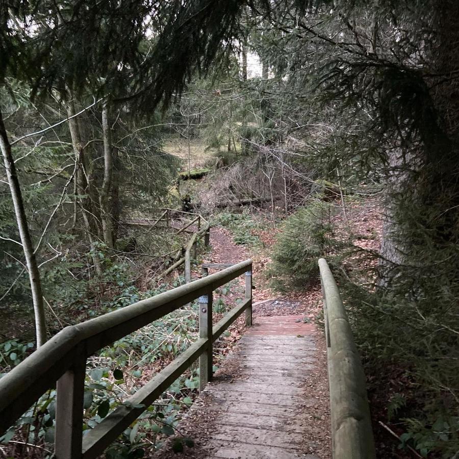 Harz Is Calling กอสลาร์ ภายนอก รูปภาพ