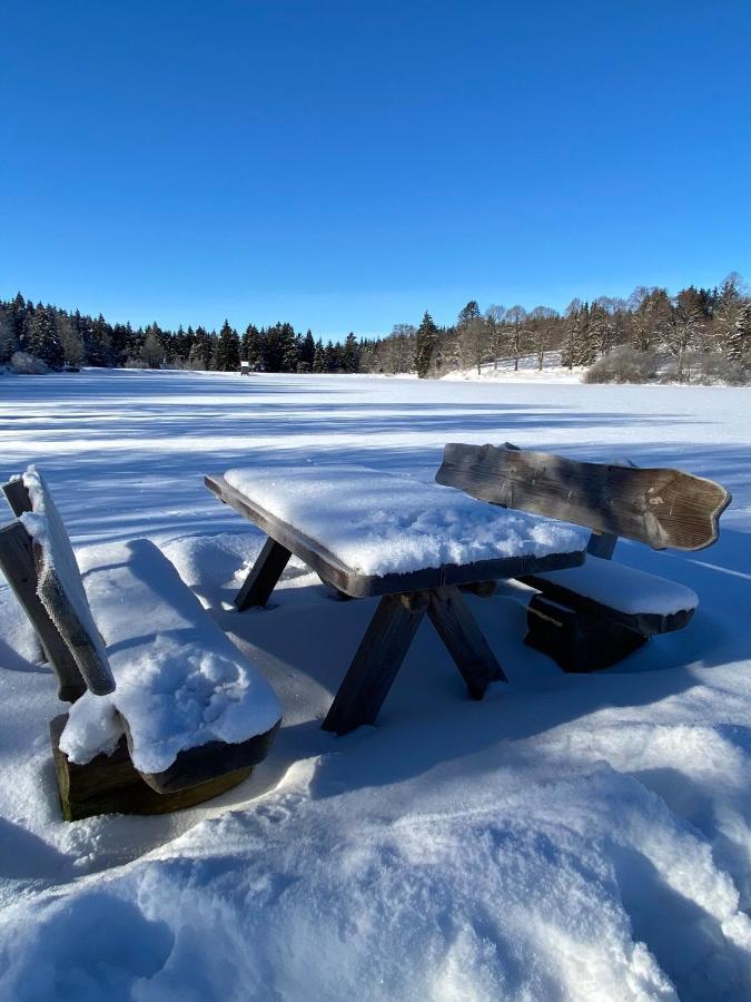 Harz Is Calling กอสลาร์ ภายนอก รูปภาพ