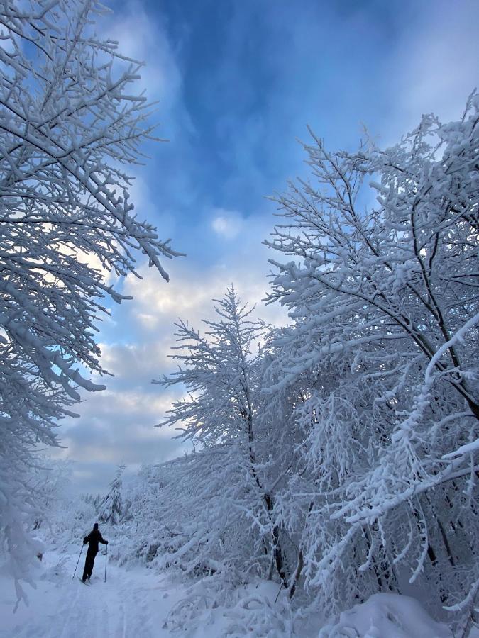 Harz Is Calling กอสลาร์ ภายนอก รูปภาพ