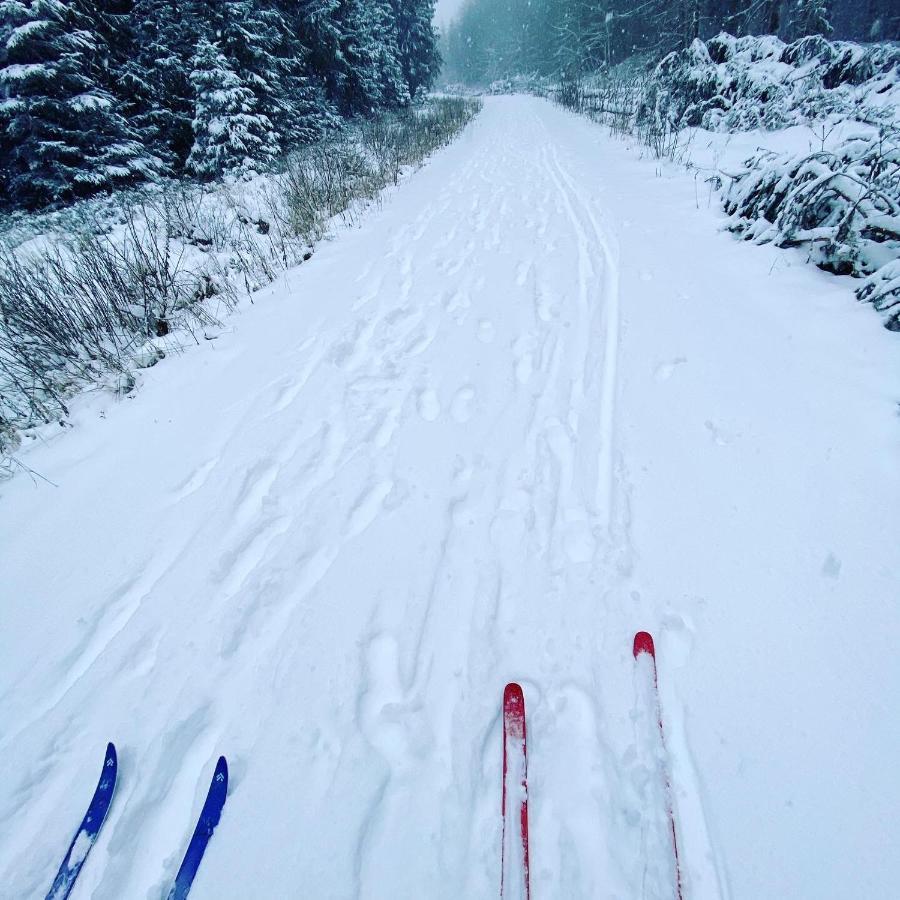 Harz Is Calling กอสลาร์ ภายนอก รูปภาพ