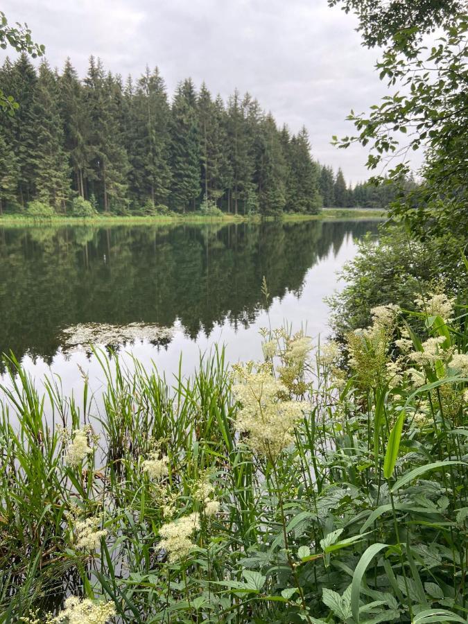 Harz Is Calling กอสลาร์ ภายนอก รูปภาพ