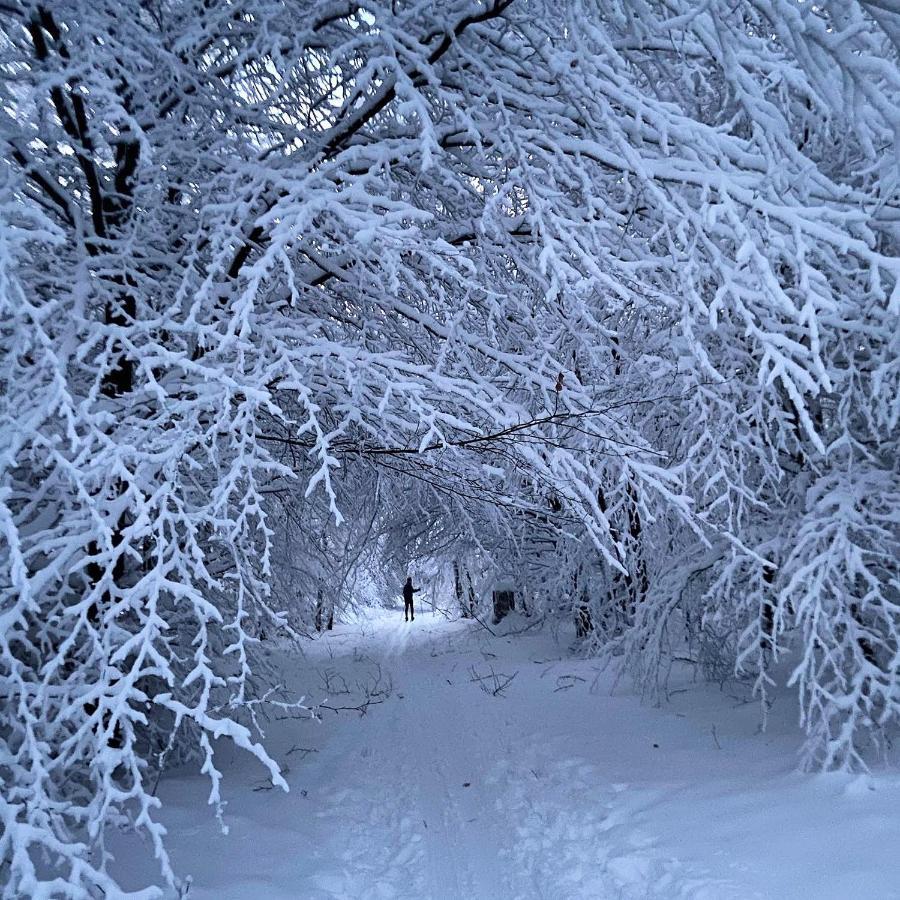 Harz Is Calling กอสลาร์ ภายนอก รูปภาพ