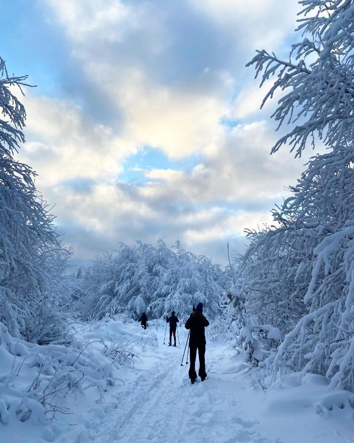 Harz Is Calling กอสลาร์ ภายนอก รูปภาพ