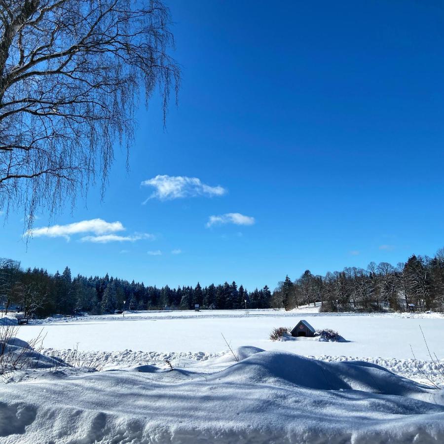 Harz Is Calling กอสลาร์ ภายนอก รูปภาพ