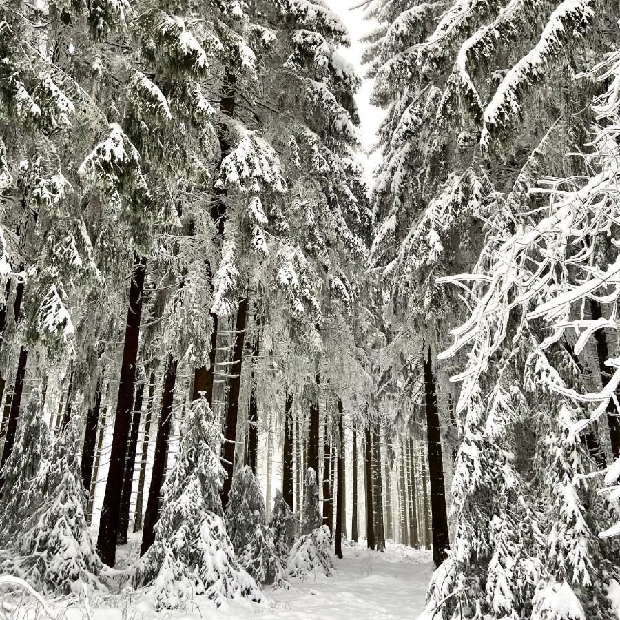 Harz Is Calling กอสลาร์ ภายนอก รูปภาพ