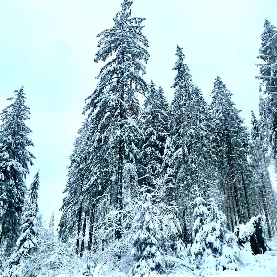 Harz Is Calling กอสลาร์ ภายนอก รูปภาพ